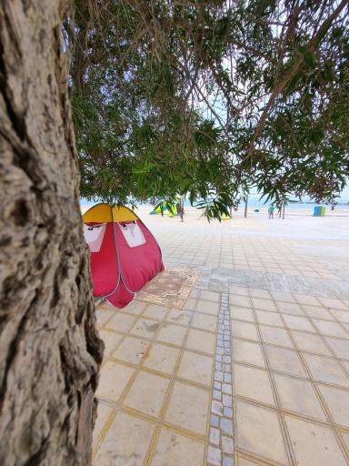 عکس پارک خطی P 1 (پارک ساحلی)