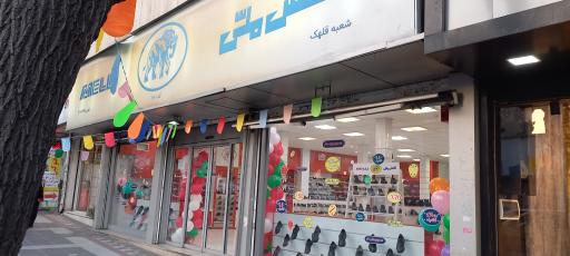 عکس کفش ملی