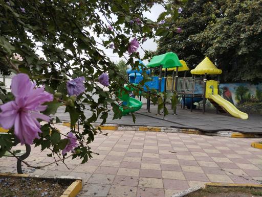 عکس پارک میچکا