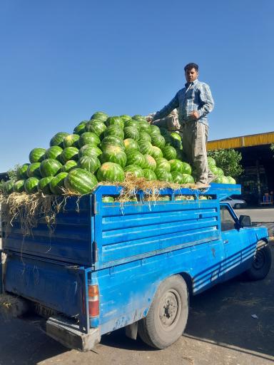 عکس میدان تره بار