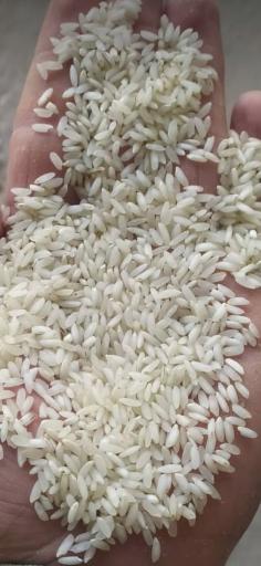 عکس شرکت برنجکوبی ایران پارس