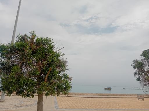 عکس پارک خطی P 1 (پارک ساحلی)