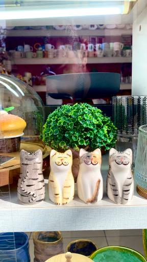 خانه و آشپزخانه پروانه