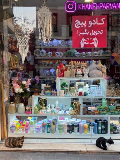 عکس خانه و آشپزخانه پروانه