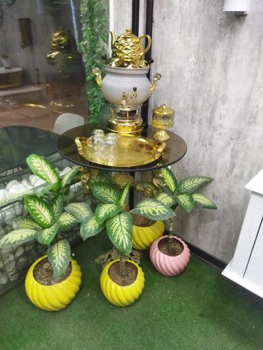 عکس جوجه کباب ذغالی ژرمنیان