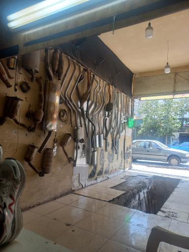 عکس بهار اگزوز