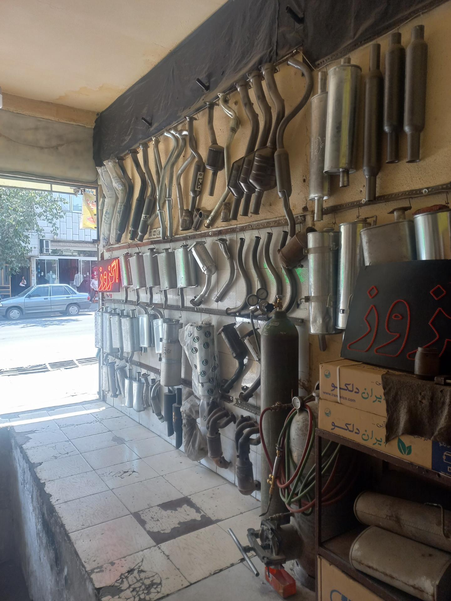 عکس بهار اگزوز