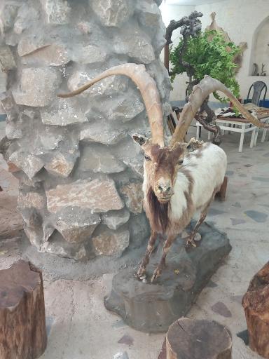 عکس باغ وحش دز