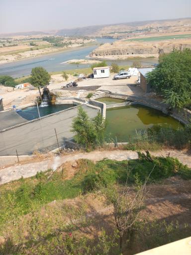 عکس باغ وحش دز