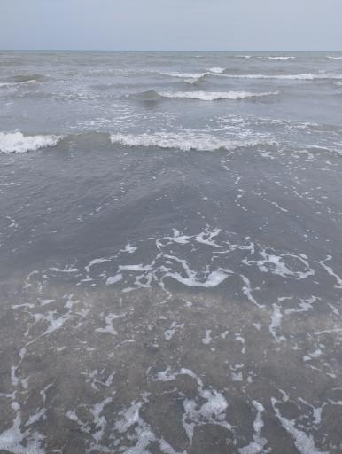 ساحل ماسه ای