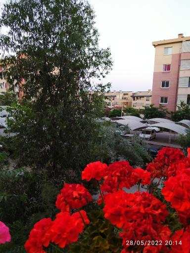 عکس مجتمع مسکونی شقایق