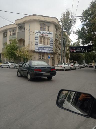عکس دکتر گلرخ شرافتی