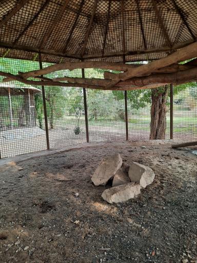 عکس باغ وحش دز