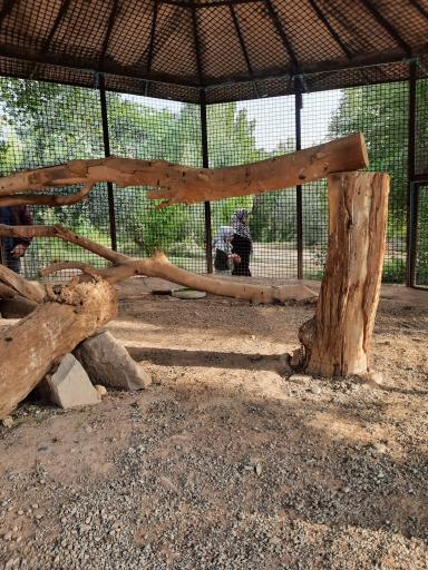 عکس باغ وحش دز