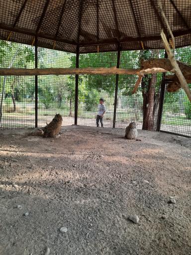 عکس باغ وحش دز