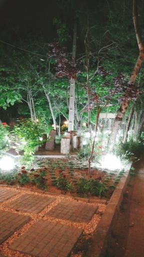 کافی شاپ واسلو