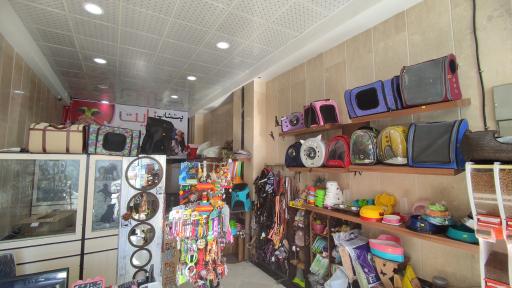 عکس دامپزشکی