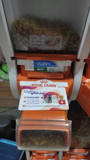 عکس دامپزشکی