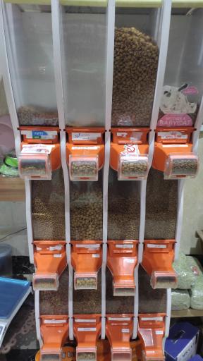 عکس دامپزشکی