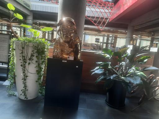 عکس دی دی سنتر