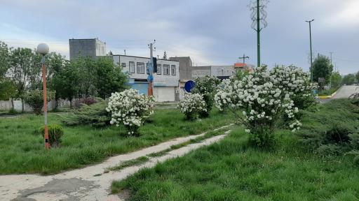 عکس میدان شهید سلیمانی