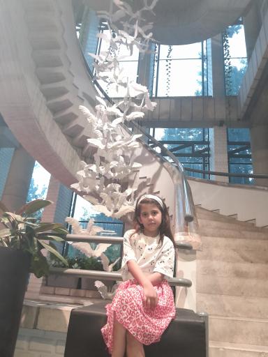 عکس دی دی سنتر