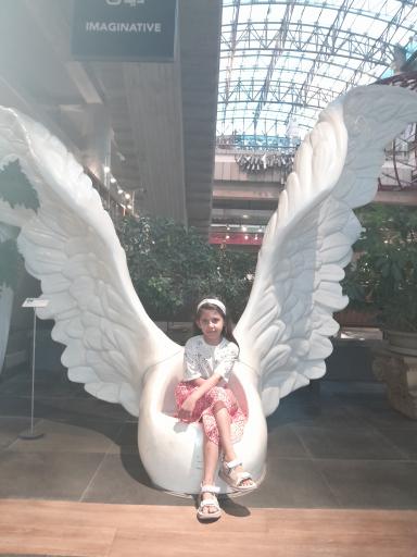 عکس دی دی سنتر