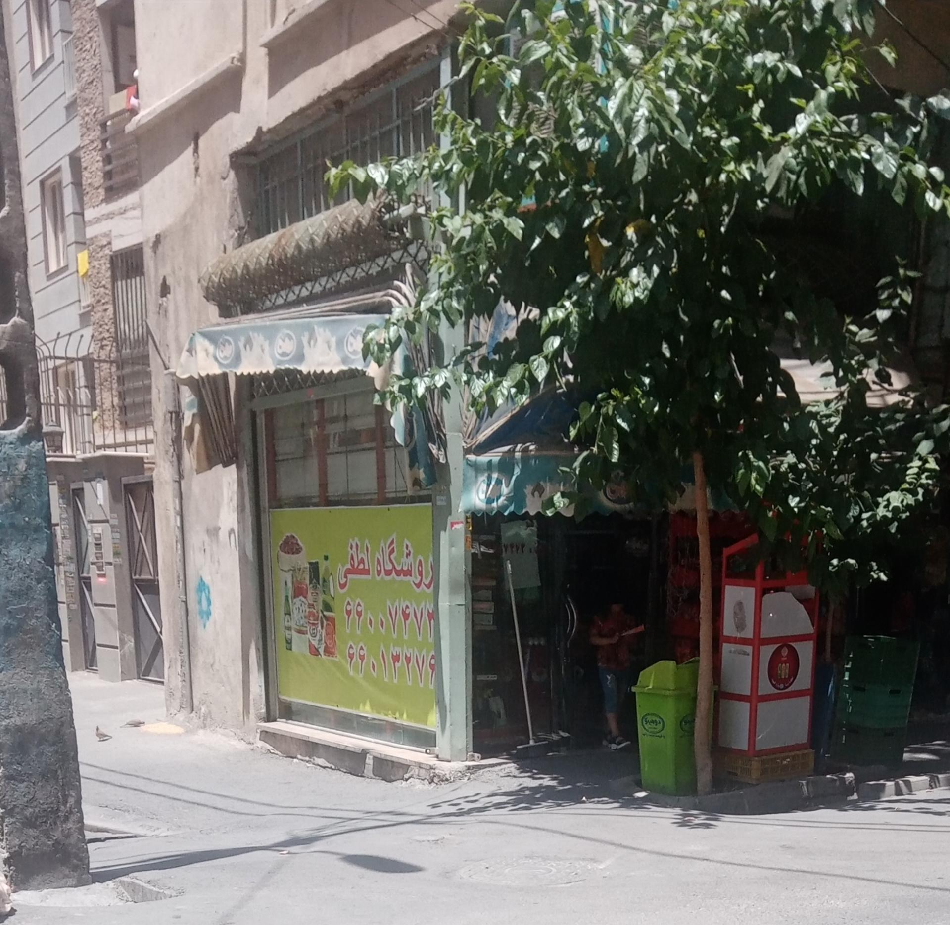 عکس بقالی لطفی