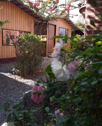 عکس کافه رستوران فرحزاد