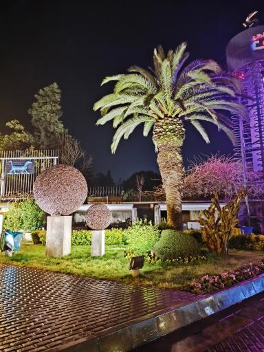 عکس دی دی سنتر