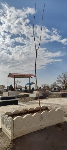 آرامستان شادمهرک