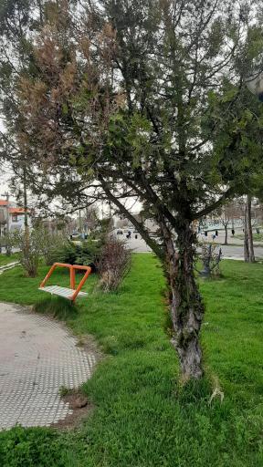 عکس میدان شهید سلیمانی