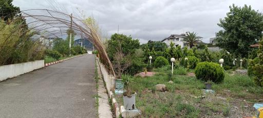 عکس پلاژ میانهاله