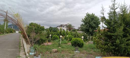 عکس پلاژ میانهاله