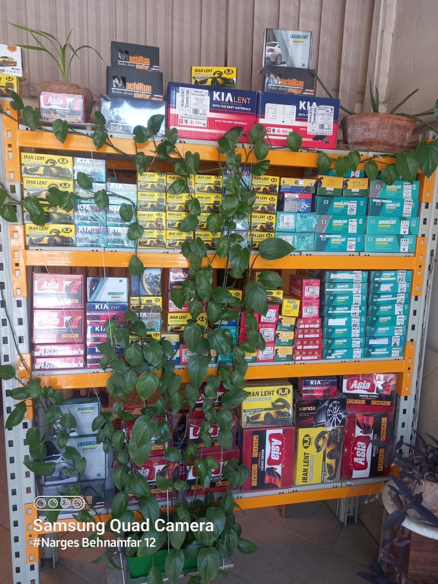 عکس دنیای لنت 