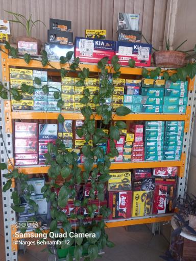 عکس دنیای لنت 