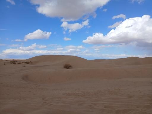 عکس کویر مصر