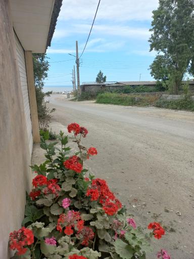 عکس ویلای شمیم دریا