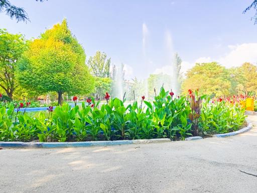 عکس پارک