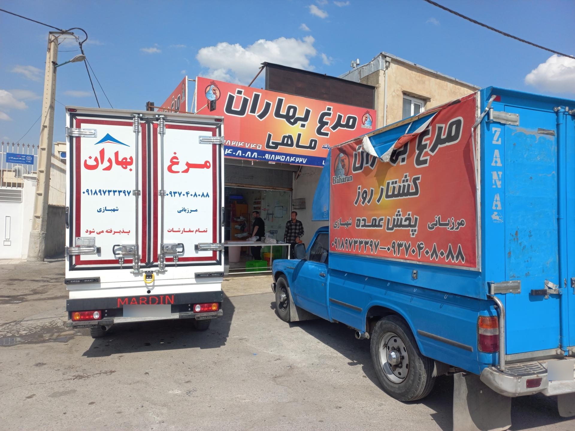 عکس پخش عمده مرغ بهاران