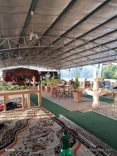 عکس رستوران پلیکان