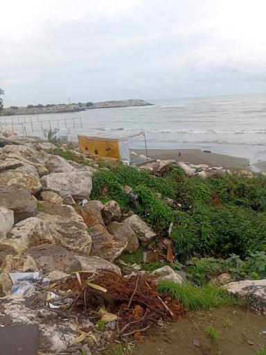 عکس ساحل سنگی