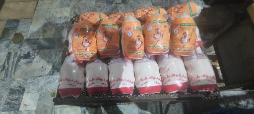 عکس هایپر پروتئین زاگرس 