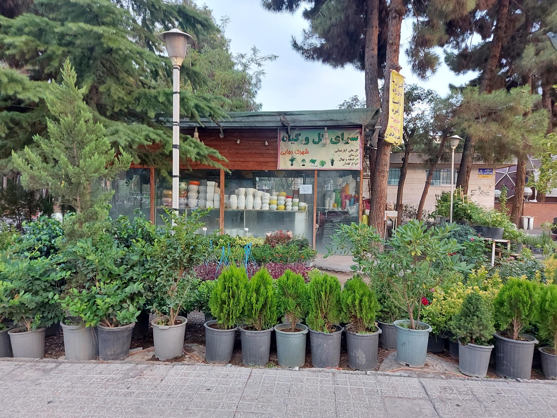 عکس سرای گل و گیاه شهرک رجایی