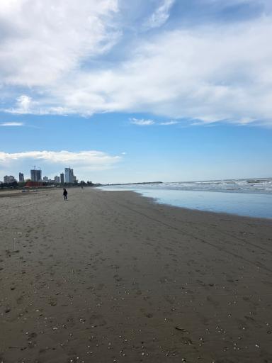 ساحل سنگی