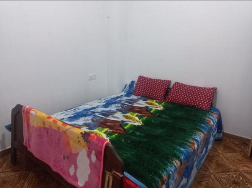 عکس رامان
