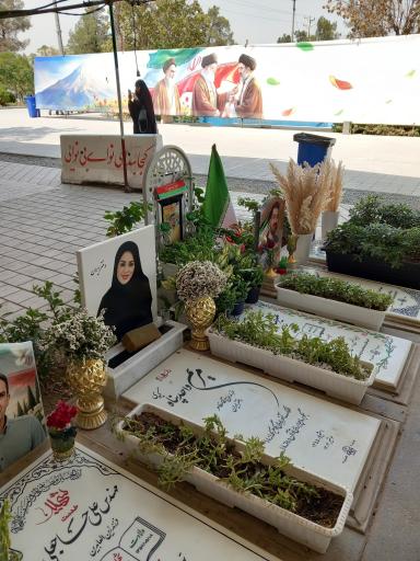 عکس قطعه 42
