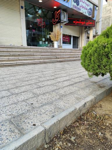 عکس گل فروشی شانیا