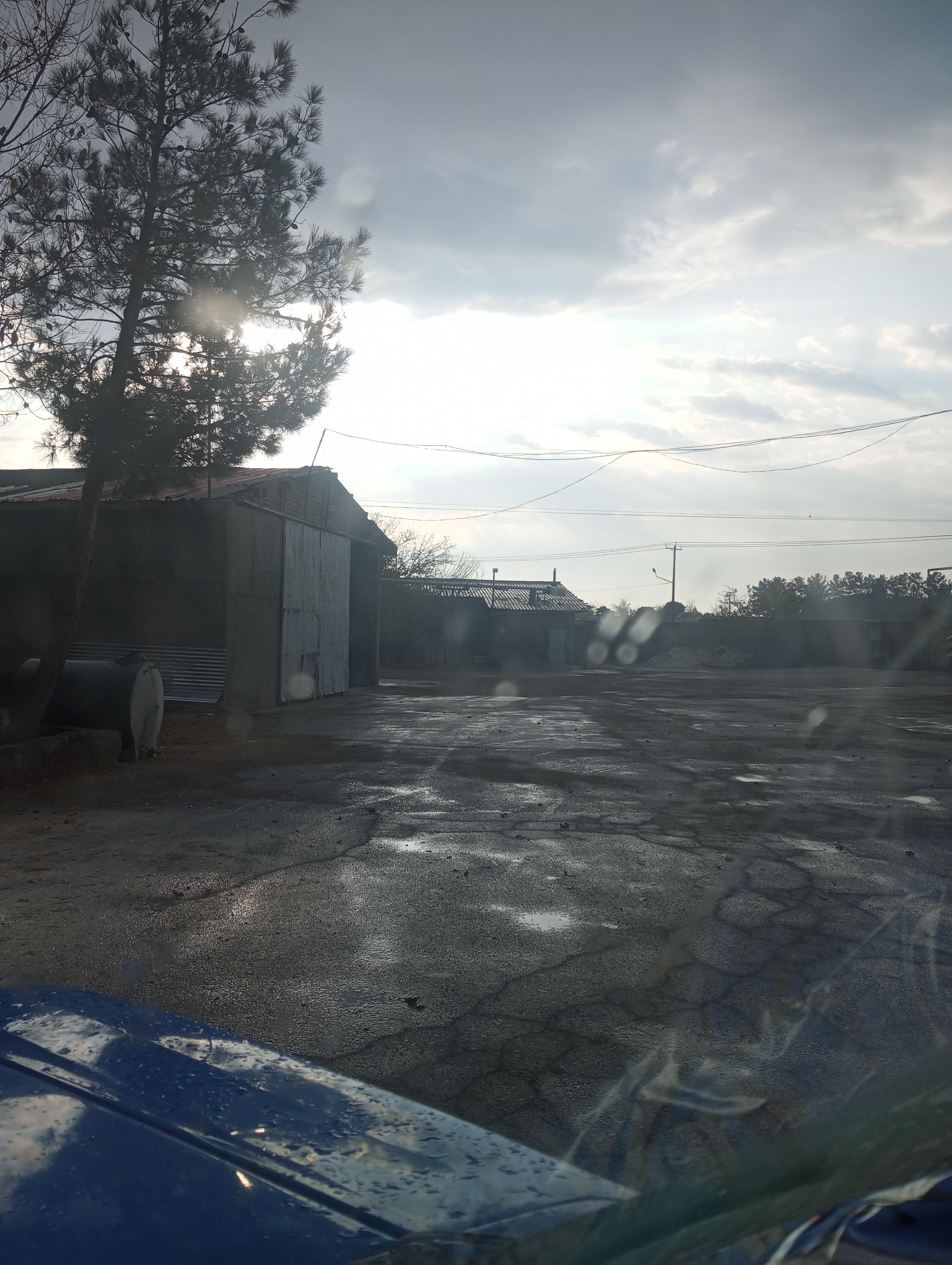 عکس مرغداری طلوع