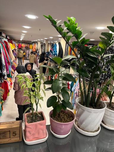 عکس فروشگاه زنانه بیوتی 